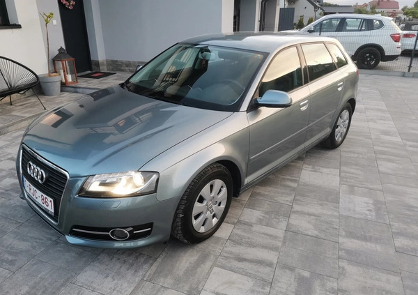 Audi A3 cena 30500 przebieg: 194000, rok produkcji 2010 z Dębica małe 596